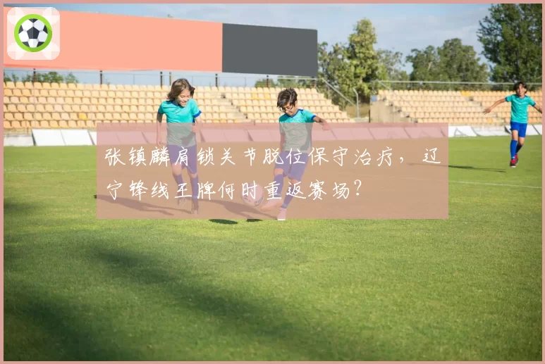 张镇麟肩锁关节脱位保守治疗，辽宁锋线王牌何时重返赛场？