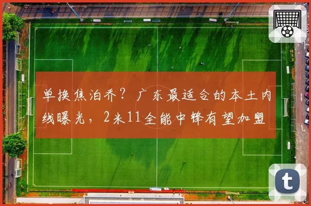 单换焦泊乔？广东最适合的本土内线曝光，2米11全能中锋有望加盟
