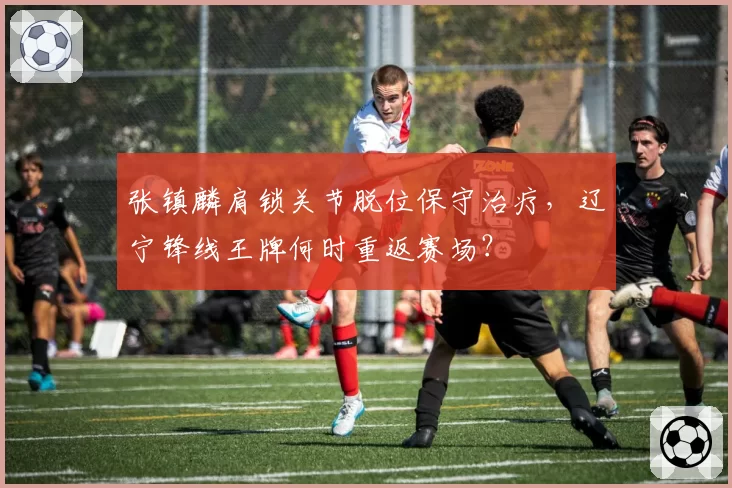 张镇麟肩锁关节脱位保守治疗，辽宁锋线王牌何时重返赛场？