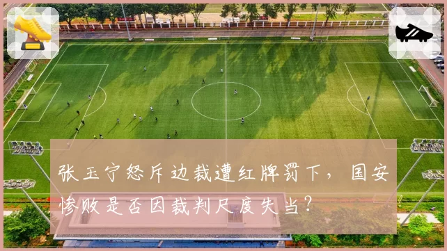 张玉宁怒斥边裁遭红牌罚下,国安惨败是否因裁判尺度失当?